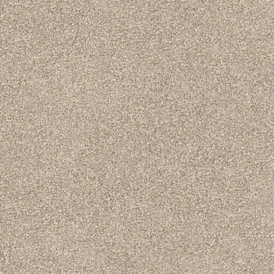 Triexta by Redbook Mountain Chalet Triexta Carpet